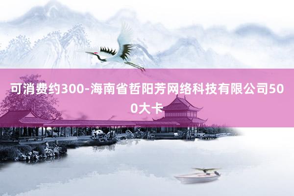 可消费约300-海南省哲阳芳网络科技有限公司500大卡