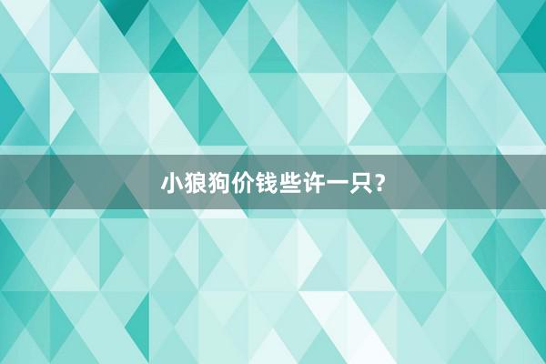 小狼狗价钱些许一只？