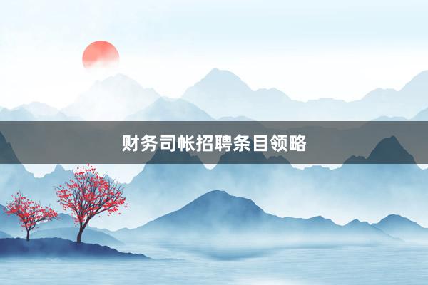 财务司帐招聘条目领略